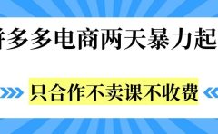 拼多多两天暴力起店,只合作不卖课不收费
