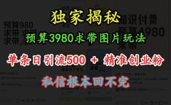“小红书”预算3980求带 图片玩法,单条日引流500+精准创业粉,私信根本回不完
