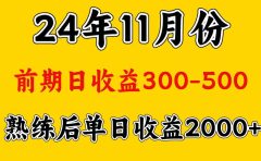 轻资产项目，前期日收益500左右，后期日收益1500-2000左右，多劳多得