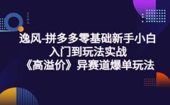 拼多多零基础新手小白入门到玩法实战《高溢价》异赛道爆单玩法实操课