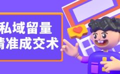 私域留量精准成交术,学习打造自己的私域流量,价值699元