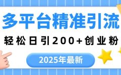 2025年最新多平台精准引流，轻松日引200+
