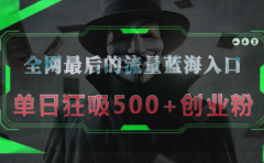 全网最后的流量蓝海入口，半小时引流50+创业粉，单日狂吸500+创业粉