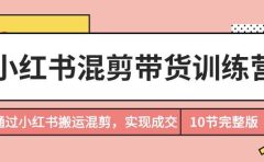 小红书混剪带货训练营,通过小红书搬运混剪,实现成交(10节课完结版)