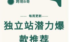 【跨境B哥】独立站潜力爆款选品推荐,测款出单率高达百分之80(每周更新)