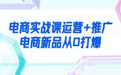 电商实战课运营+推广，电商新品从0打爆（99节视频课）