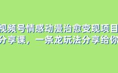 视频号情感动漫治愈变现项目分享课，一条龙玩法分享给你（教程+素材）