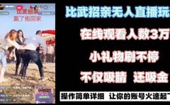 最近很火的无人直播“比武招亲”的一个玩法项目简单