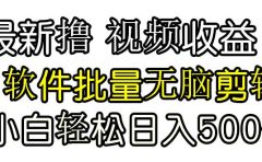 发视频撸收益，软件无脑批量剪辑，第一天发第二天就有钱