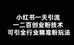 【引流必备】小红书一天引流一二百创业粉技术，可引全行业精准粉玩法