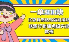 一单轻松300元，仅靠复制粘贴，每天操作一个小时，联盟行销保姆级出单教程