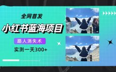全网首发，小红书蓝海项目，路人消失术，实测一天300+（教程+工具）