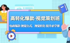高转化爆款·视觉策划班：电商爆款·视觉公式，视觉转化·提升必学课