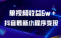 抖音最新小程序变现项目，单视频收益6w＋