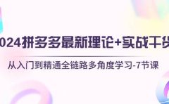 2024拼多多 最新理论+实战干货，从入门到精通全链路多角度学习-7节课