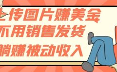 上传图片赚美金，不用销售发货躺赚被动收入