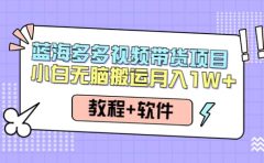 人人都能操作的蓝海多多视频带货项目 小白无脑搬运（教程+软件）