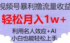 视频号暴利撸流量收益，小白也能轻松上手，轻松月入1w+