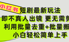 小红书短剧最新玩法，轻松日入3000+，既不真人出镜，更不用剪辑，全程搬运，傻瓜式操作，私域零成本批量操作