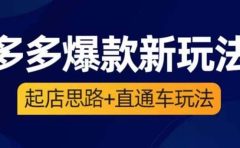 2023拼多多爆款·新玩法:起店思路+直通车玩法(3节精华课)