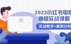 2023小红书-电商高级实战课程,实战教学+案例分析(38节课)