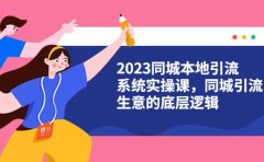 2023同城本地引流系统实操课,同城引流生意的底层逻辑(31节视频课)