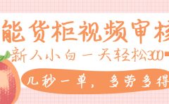 智能货柜视频审核，几秒一单，多劳多得，新人小白一天轻松 300+，零门槛
