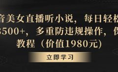 抖音美女直播听小说，每日轻松变现3500+，多重防违规操作，保姆教程（价值1980元)