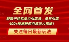 全网首发，野路子挂机暴力引流法，单日引流400+精准粉的引流法大揭秘！