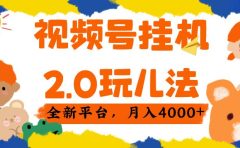 视频 号挂机 2.0 玩儿法， 全新平 台， 月入 4000+
