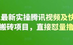 2022最新实操腾讯视频及快看点无脑搬砖项目,直接怼量撸收益