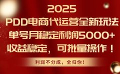2025 PDD电商代运营全新玩法，单号月稳定利润5000+，收益稳定，可批量操作！