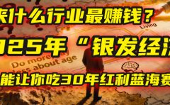 未来什么行业最赚钱？马哥揭秘2025年“银发经济”：一个能让你吃30年红利的蓝海赛道！
