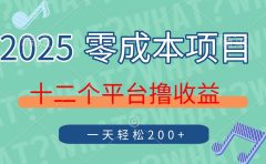 2025年零成本项目，十二个平台撸收益，单号一天轻松200+