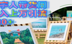 数字人带货周收入上万引流200+