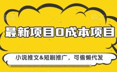 最新项目 0成本项目，小说推文短剧推广，可偷懒代发