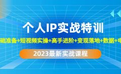 2023个人IP实战特训：基础准备+短视频实操+高手进阶+变现落地+数据+电商