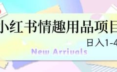 最新小红书情趣用品项目，日入1-4k