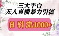 抖音,快手,视频号全平台通用,无人直播引流法,利用图片,模板,整套话术挂机全天支持矩阵操作,无限设备多开,超暴力引流,1000+高质量精准创业粉