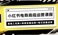 小红书电商高级运营课程:基础入驻篇+商城流量运营+笔记流量运营