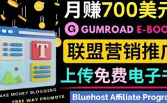 通过虚拟商品交易平台Gumroad，发布免费电子书 并推广自己的联盟营销链赚钱