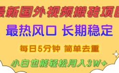 国外视频搬砖项目，2025最新热门风口，简单去重剪辑，小白也能轻松月入3W+