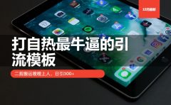 打自热最牛逼的引流模板，日引300+，二剪搬运嗖嗖上人