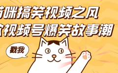 借猫咪搞笑视频之风，掀视频号爆笑故事潮，轻松日赚四位数，开启无门槛赚钱新体验！