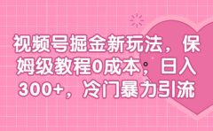 视频号掘金新玩法,保姆级教程0成本,日入300+,冷门暴力引流