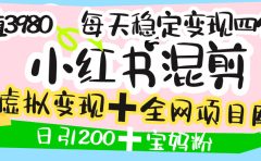 价值3980的小红书混剪, 虚拟变现 +全网项目库 , 日引200+宝妈创业粉,每天稳定四位数变现