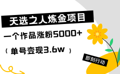 天选之人炼金热门项目,一个作品涨粉5000+,单号变现3.6w