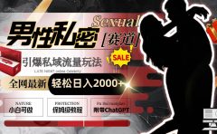 全网最新男性私密赛道玩法,引爆私域流量,轻松日入2000+