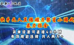 全新6.0快手无人直播，磁力聚星小游戏暴力项目，简单设置，直播48小时...