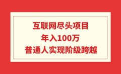 互联网尽头项目：年入100W，普通人实现阶级跨越
